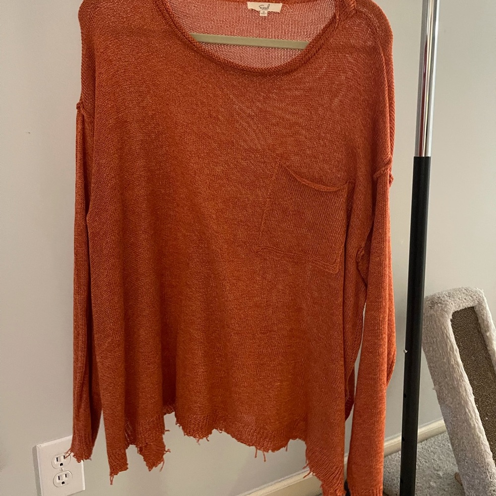 Easel size small , pumpkin colored sweater